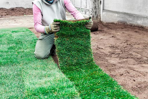 Gardener rolling up artificial turf
